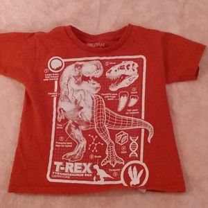 Tee Rex Boys Tee Shirt